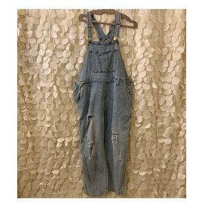 New! Wild Fable Overalls